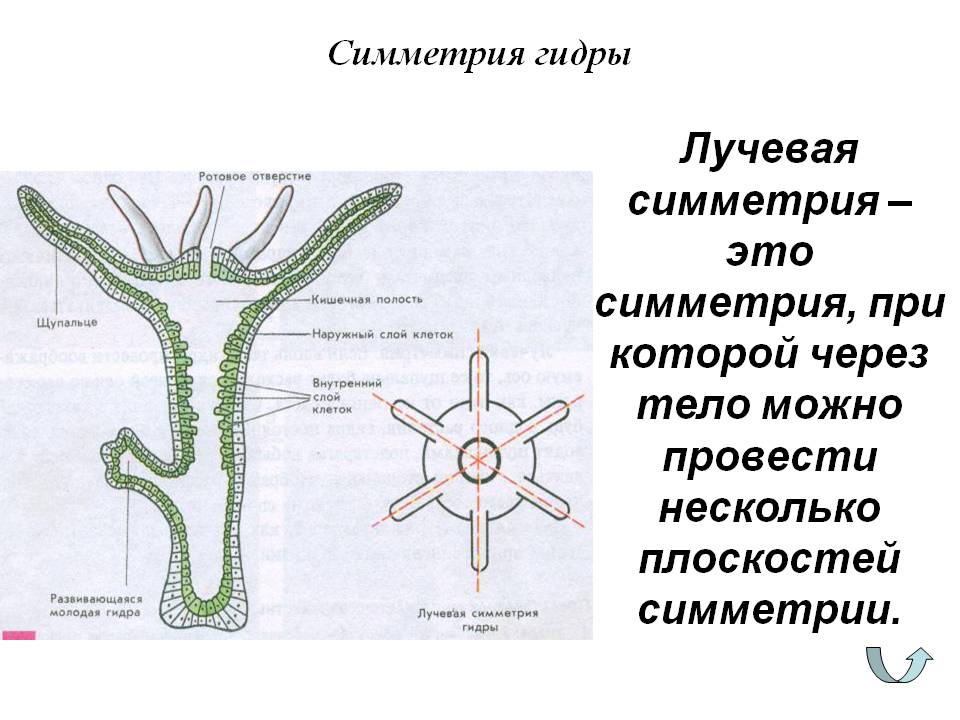 Vk8 at кракен