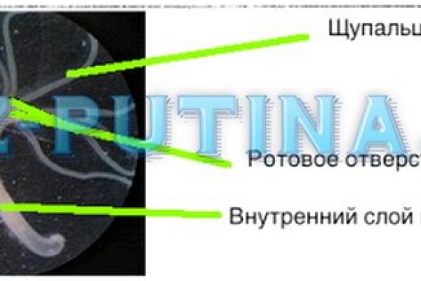 Почему в кракене пользователь не найден