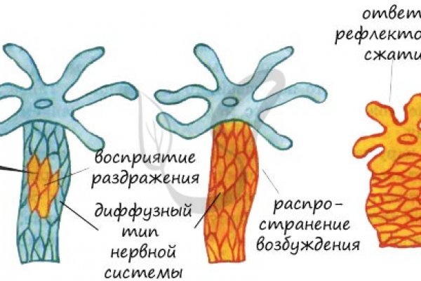 Даркнет площадки