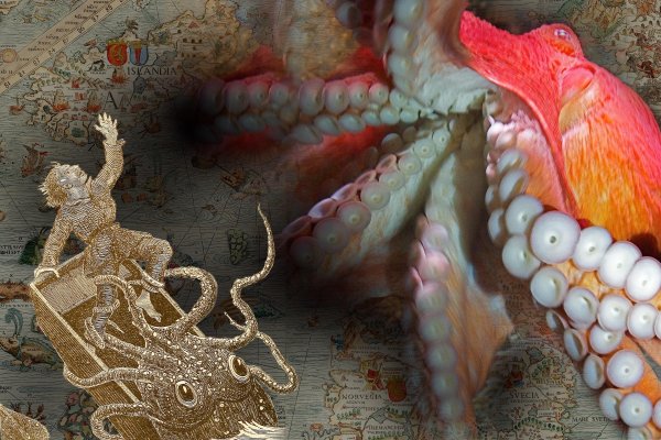 Kraken вход kraken torion