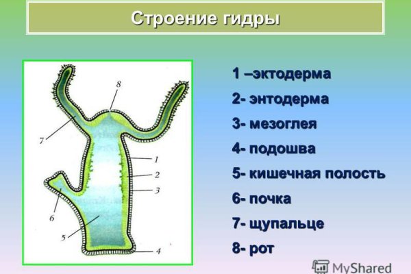 Кракен через тор